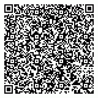 vCard 79993893313