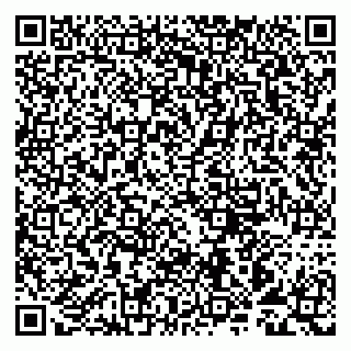vCard 79993893316