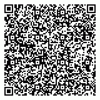 vCard 79993893319