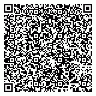 vCard 79993893330