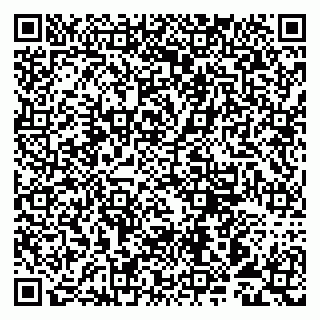 vCard 79993893335