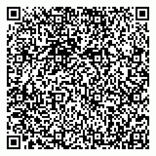 vCard 79993893336