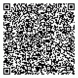 vCard 79993893347