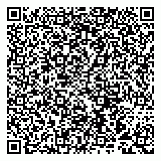 vCard 79993893355