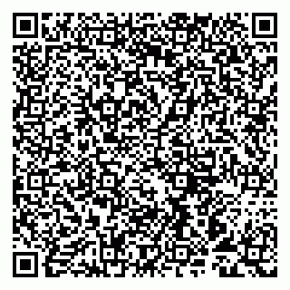 vCard 79993893358