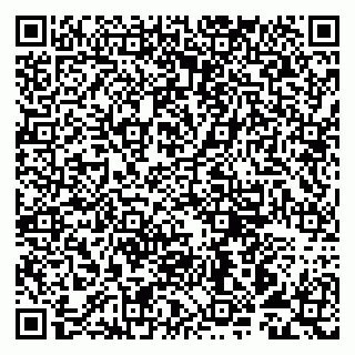 vCard 79993893369