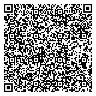 vCard 79993893370