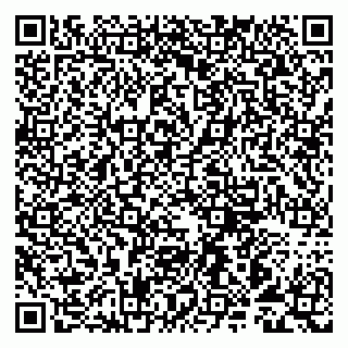 vCard 79993893371