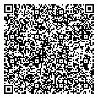 vCard 79993893372