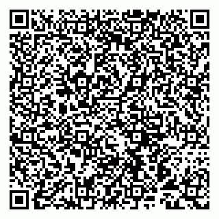 vCard 79993893381