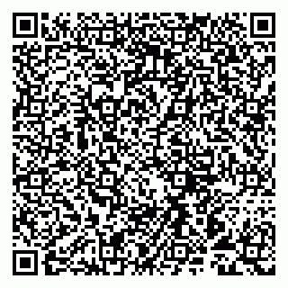 vCard 79993893383
