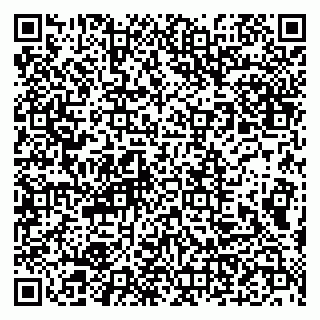 vCard 79993893384