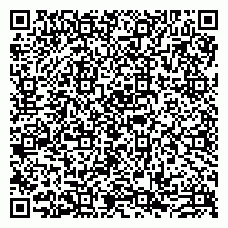 vCard 79993893385