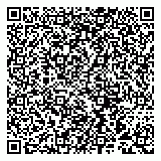 vCard 79993893387