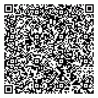 vCard 79993893398