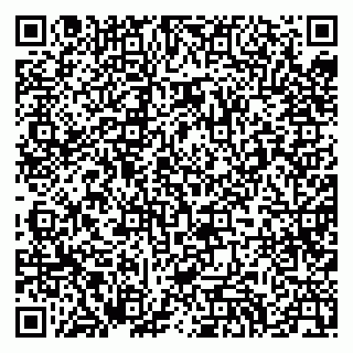 vCard 79994000173