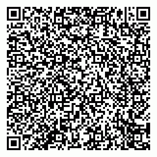 vCard 79994000539