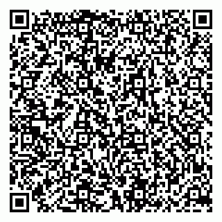 vCard 79994001339