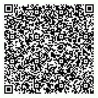 vCard 79994001739