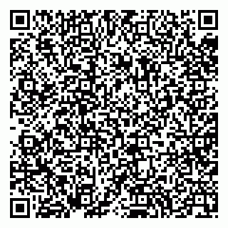 vCard 79994002100