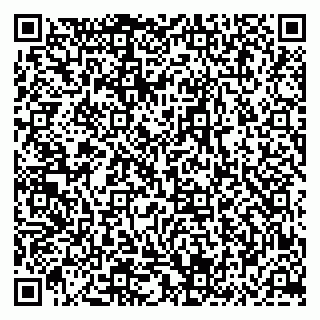 vCard 79994002739