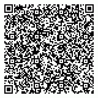 vCard 79994200093
