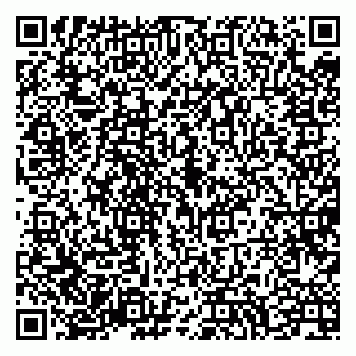 vCard 79994700011