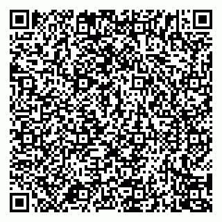 vCard 79994700017