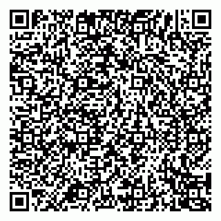 vCard 79994700039