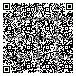 vCard 79994700085