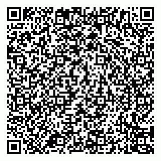 vCard 79994700100