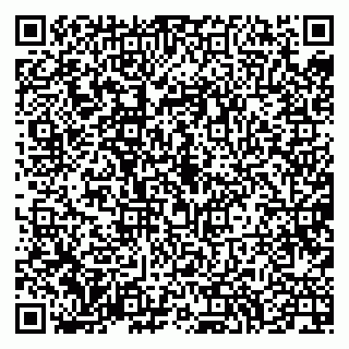 vCard 79994700101