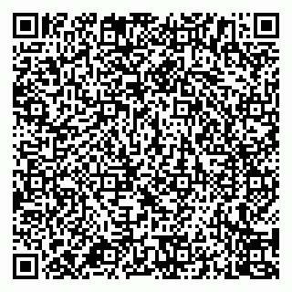vCard 79994700105