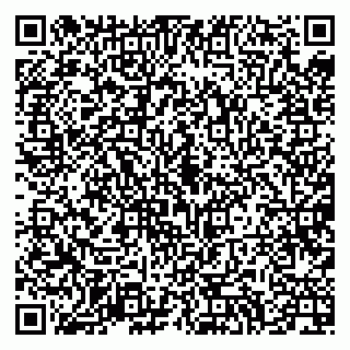 vCard 79994700133
