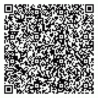 vCard 79994700163