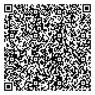 vCard 79994700183