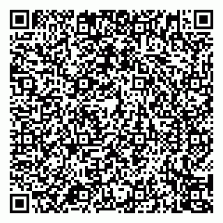 vCard 79994700199