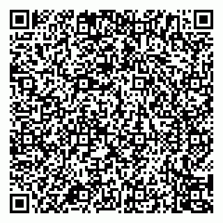 vCard 79994700205