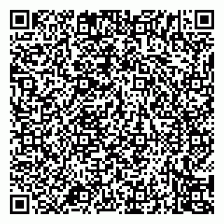 vCard 79994700213