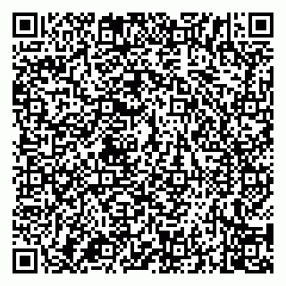 vCard 79994700216