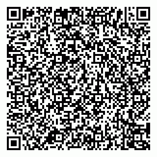 vCard 79994700234