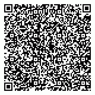 vCard 79994700249