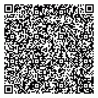 vCard 79994700259