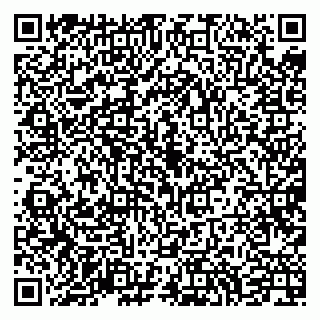 vCard 79994700285