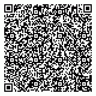 vCard 79994700290