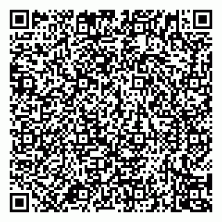 vCard 79994700297