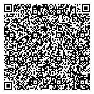 vCard 79994700300