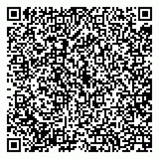 vCard 79994700301