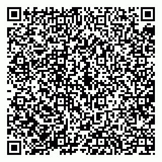 vCard 79994700304
