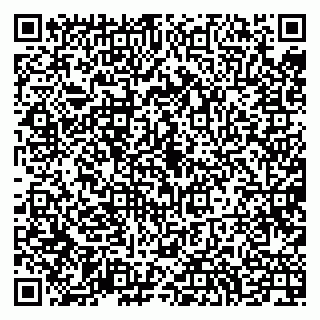 vCard 79994700308